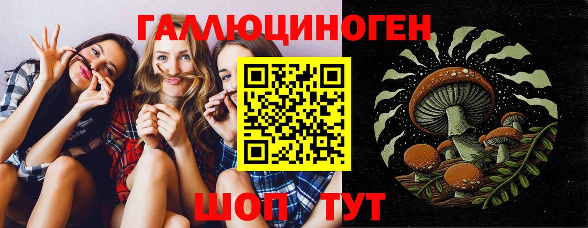 Учалы  Псилоцибиновые грибы MAGIC MUSHROOMS  Вход с VPN 